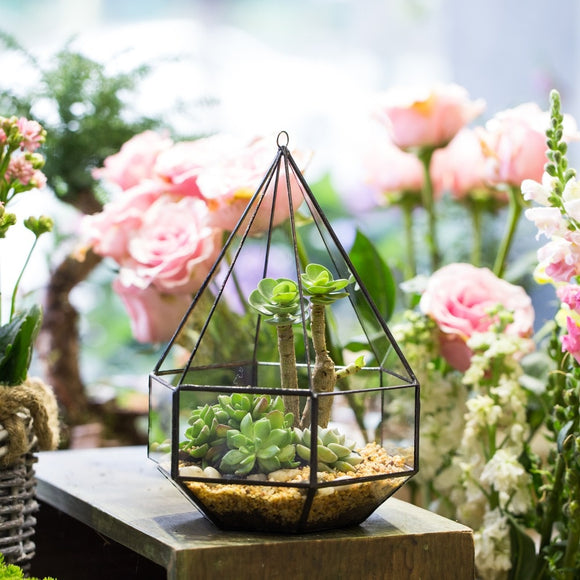 succulent hanging box Wall Hanging Six-surface Diamond Glass Geometric Succulent Jardin Plant Terrarium Box Planter Indoor Decortion Glass Flower Pot