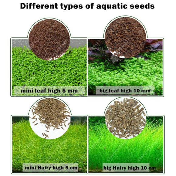 Beautiful Aquarium Grass Seeds Water Aquatic Green Plants Fish Tank Decoration Easy Planting Seed Pet Decorative Plants Supplies