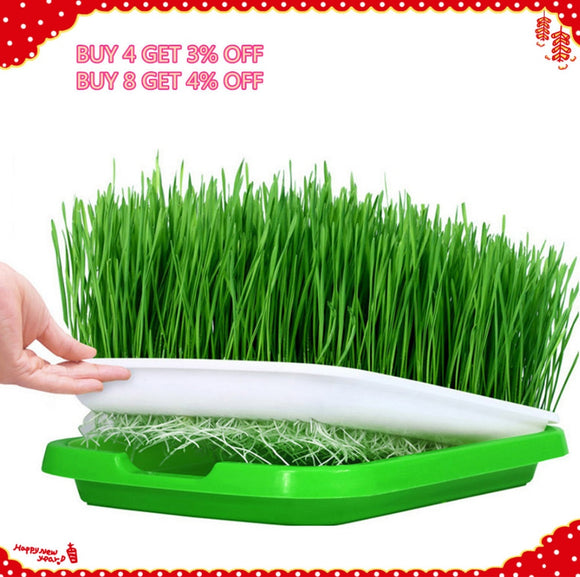 VICTMAX 5sets Double-Layer Seed Sprouter Nursery Tray Hydroponics Basket Flower Plant Germination Tray Box - Green + White