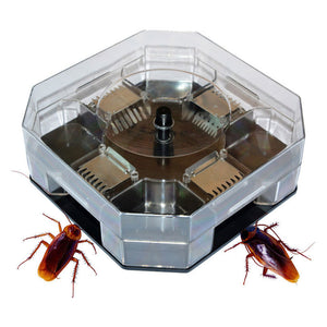 Household Effective Cockroach Traps Box Reusable Cockroach Bug Roach Catcher Cockroach Killer Bait Traps Pesticide for Kitchen